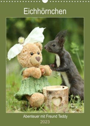 Eichhörnchen - Abenteuer mit Freund Teddy (Wandkalender 2023 DIN A3 hoch)