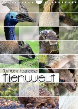 Australiens faszinierende Tierwelt (Wandkalender 2023 DIN A4 hoch)