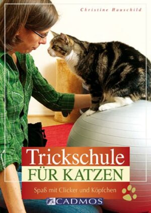 Trickschule für Katzen