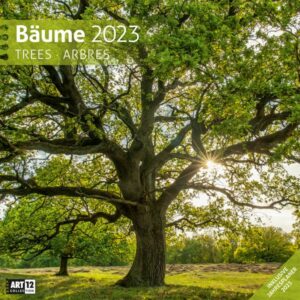 Bäume Kalender 2023 - 30x30