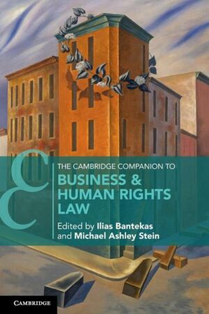 The Cambridge Companion to Business & Human Rights Law