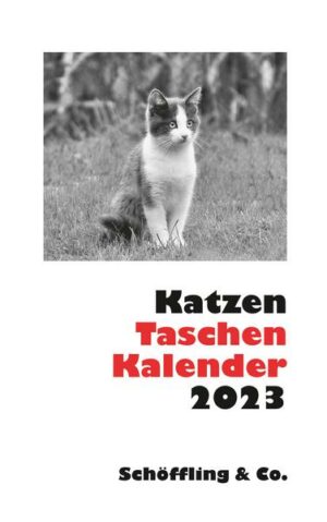 Katzen Taschenkalender 2023