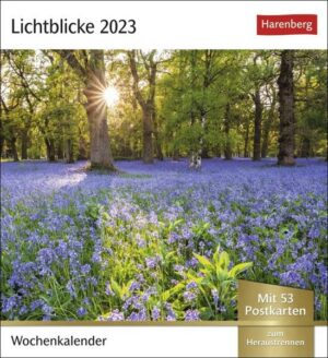 Lichtblicke Postkartenkalender 2023