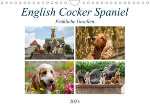 English Cocker Spaniel - Fröhliche Gesellen (Wandkalender 2023 DIN A4 quer)