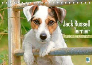 Jack Russell Terrier: flink und verspielt (Tischkalender 2023 DIN A5 quer)