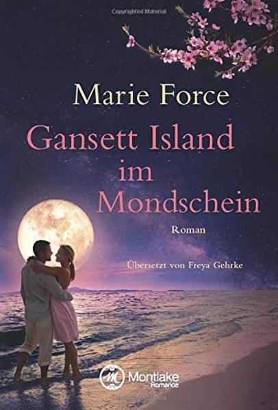 Gansett Island im Mondschein