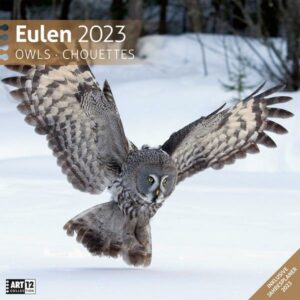 Eulen Kalender 2023 - 30x30