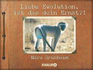 Liebe Evolution