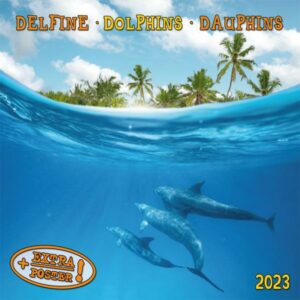Dolphins/Delfine 2023