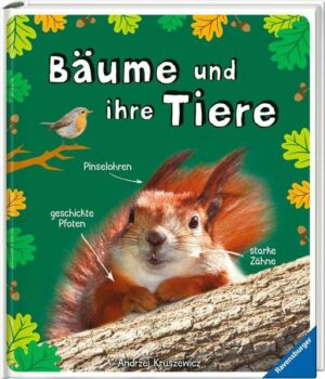 Bäume und ihre Tiere - das spannende Leben in unseren Wäldern