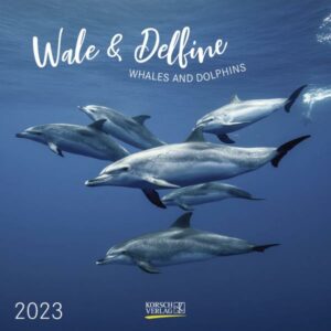 Wale und Delfine 2023