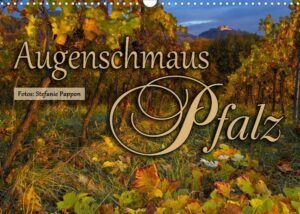 Augenschmaus Pfalz (Wandkalender 2022 DIN A3 quer)