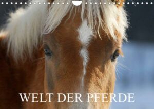 Welt der Pferde (Wandkalender 2023 DIN A4 quer)