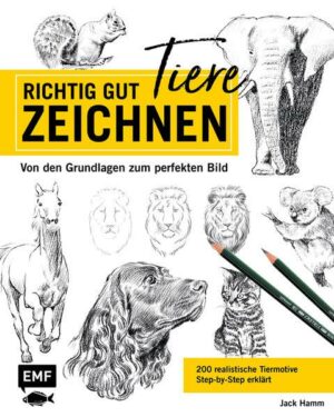 Richtig gut zeichnen – Tiere