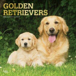 Golden Retrievers 2023 Square Foil