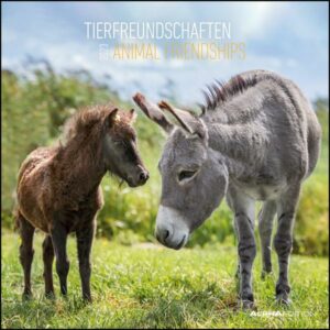 Tierfreundschaften 2023 - Broschürenkalender 30x30 cm (30x60 geöffnet) - Kalender mit Platz für Notizen - Animal Friendships - Bildkalender - Planer