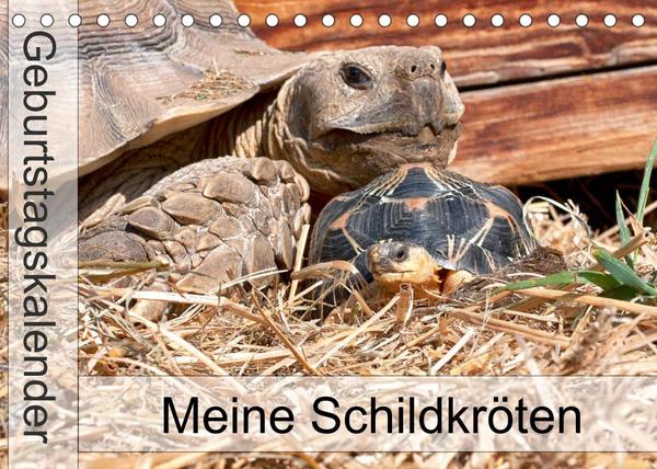 Meine Schildkröten - Geburtstagskalender (Tischkalender 2023 DIN A5 quer)