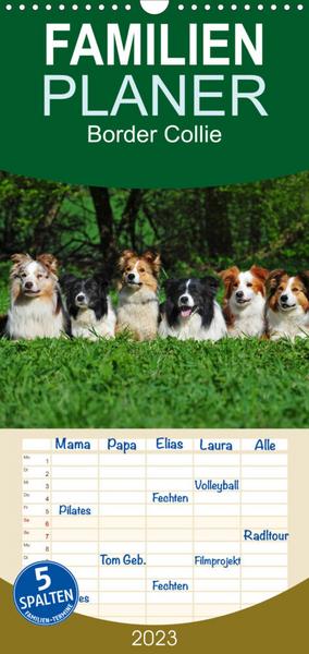 Familienplaner Border Collie 2023 (Wandkalender 2023