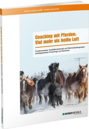 Coaching mit Pferden: Viel mehr als heiße Luft