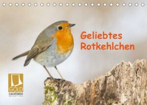 Geliebtes Rotkehlchen (Tischkalender 2023 DIN A5 quer)