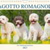 Lagotto Romagnolo - Der Trüffelhund aus Italien (Wandkalender 2023 DIN A4 quer)