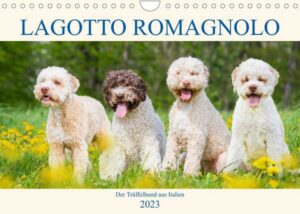 Lagotto Romagnolo - Der Trüffelhund aus Italien (Wandkalender 2023 DIN A4 quer)