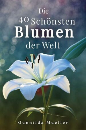 Die 40 Schönsten Blumen der Welt Bilderbuch