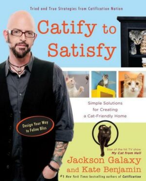 Catify to Satisfy: Simple Solutions for Creating a Cat-Friendly Home