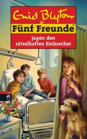 Fünf Freunde jagen den rätselhaften Einbrecher / Fünf Freunde Bd.59