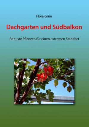 Dachgarten und Südbalkon