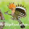 Alle Vögel sind schon da: Heimische Vögel (Tischkalender 2023 DIN A5 quer)