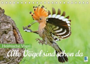 Alle Vögel sind schon da: Heimische Vögel (Tischkalender 2023 DIN A5 quer)