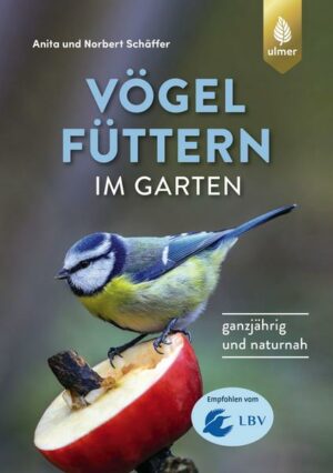 Vögel füttern im Garten