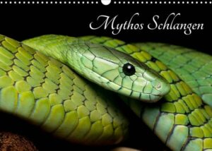 Mythos Schlangen (Wandkalender 2023 DIN A3 quer)
