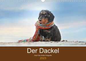 Der Dackel (Wandkalender 2023 DIN A3 quer)