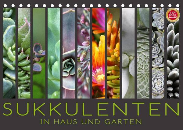 Sukkulenten in Haus und Garten (Tischkalender 2023 DIN A5 quer)