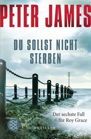 Du sollst nicht sterben / Roy Grace Bd.6