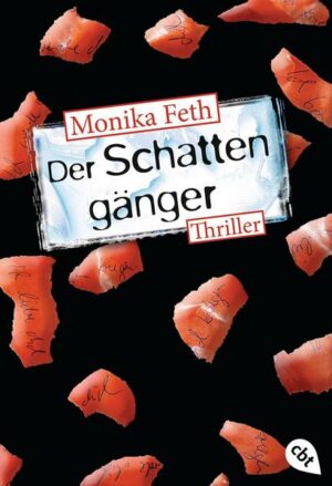 Der Schattengänger / Erdbeerpflücker-Thriller Bd.4