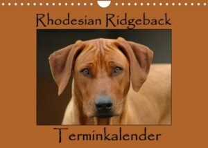 Rhodesian Ridgeback Terminkalender (Wandkalender 2023 DIN A4 quer)