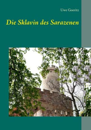 Die Sklavin des Sarazenen