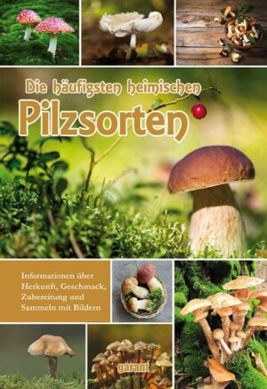 Die häufigsten heimischen Pilzsorten