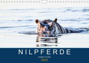 Nilpferde