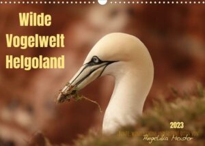 Wilde Vogelwelt Helgoland (Wandkalender 2023 DIN A3 quer)
