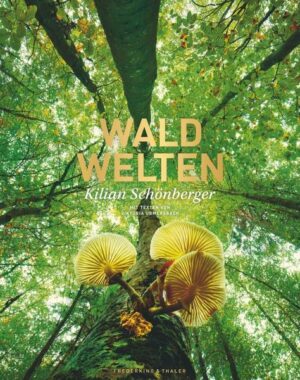 Waldwelten