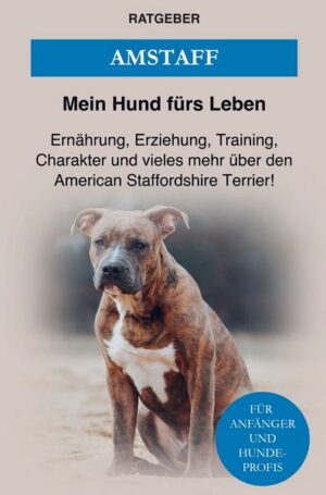 American Staffordshire Terrier