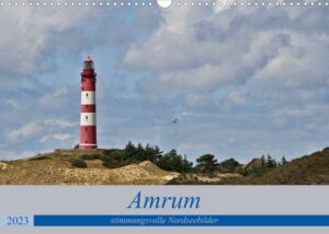 Amrum - stimmungsvolle Nordseebilder (Wandkalender 2023 DIN A3 quer)