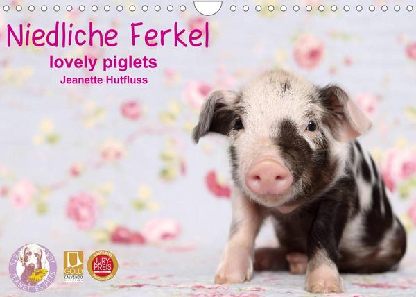 Niedliche Ferkel lovely piglets 2023 (Wandkalender 2023 DIN A4 quer)