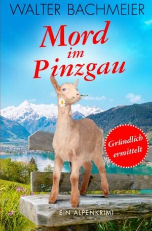 Inspektor Tina Gründlich / Mord im Pinzgau