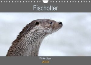 Fischotter