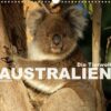 Die Tierwelt in Australien (Wandkalender 2023 DIN A3 quer)